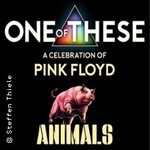 One Of These – A celebration of Pink Floyd / Animals Tour