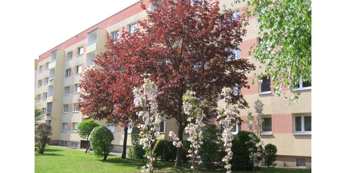 Erdgeschoßwohnung Borna - 3 Zimmer, 59 m&sup2;, 260&euro; | Angebot:25327310