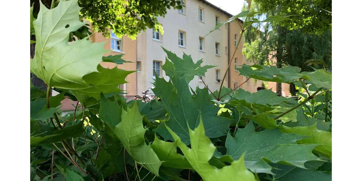 Etagenwohnung Rötha - 5 Zimmer, 116 m&sup2;, 695&euro; | Angebot:25816882