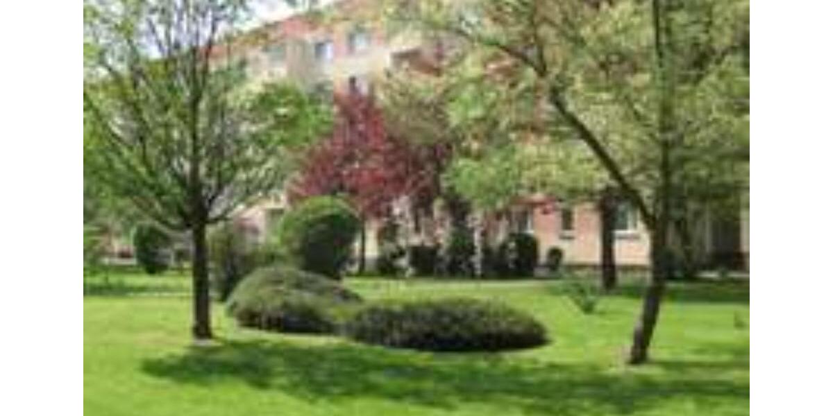 Etagenwohnung Borna - 3 Zimmer, 59 m&sup2;, 256&euro; | Angebot:19904386
