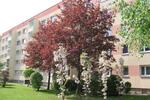 Erdgeschoßwohnung Borna - 2 Zimmer, 47 m&sup2;, 215&euro; | Angebot:25327313
