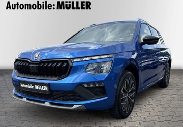 Skoda Kamiq 19.098 km 23.790 &euro; Wurzen 04808