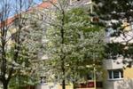 Etagenwohnung Borna - 3 Zimmer, 59 m&sup2;, 256&euro; | Angebot:19904386